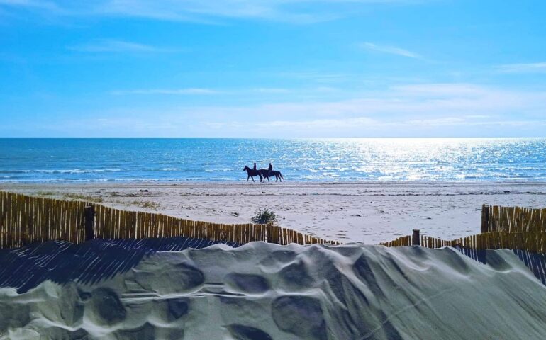 Dune di Torvaianica, partito il progetto Habemus Dune