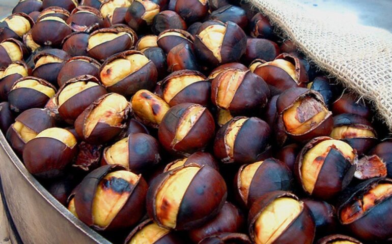 Dal 13 al 15 ottobre la Sagra delle Castagne a Rocca di Papa: il programma completo