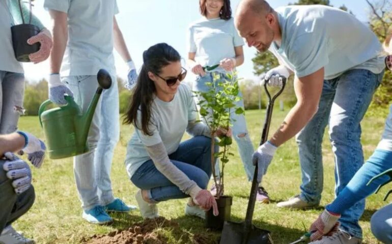 Municipio XI, oggi è la Festa degli alberi