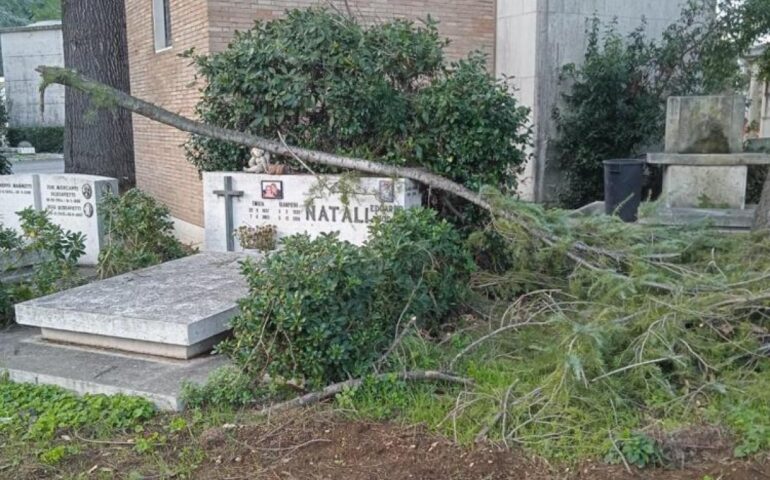 Cimitero Flaminio furti, degrado e cinghiali tra le lapidi