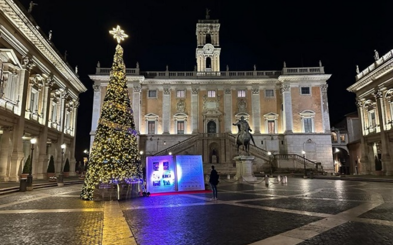 L'albero per la Costituzione è stato sistemato