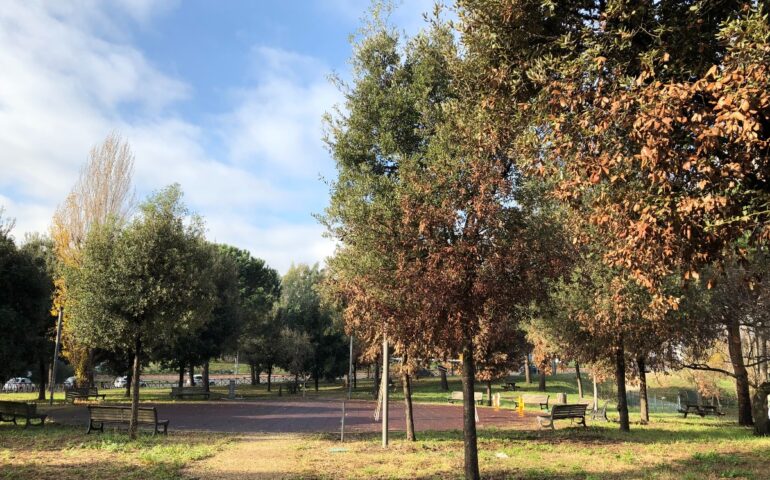 Parchi romani: subito al via 21 progetti per il verde in periferia
