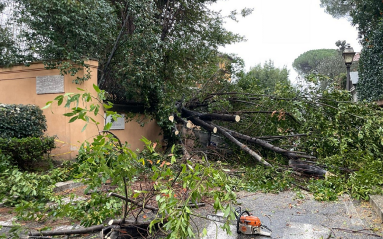 Crollo albero in via San Francesco Di Sales, oggi resta chiusa la scuola Badini