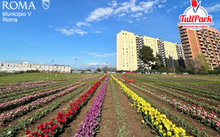 Colori e profumi al Muncipio V di Roma, apre il Tulipark