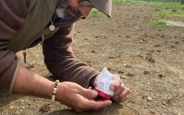 Roma, migliaia di api sottoterra nel cortile di un asilo: paura per bambini e docenti