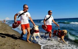 I cani da salvataggio ritornano sulle spiagge del Lazio: «Ogni anno nel Lazio salvano 15 vite». Da Eros a Mya, ecco chi sono gli eroi a quattro zampe