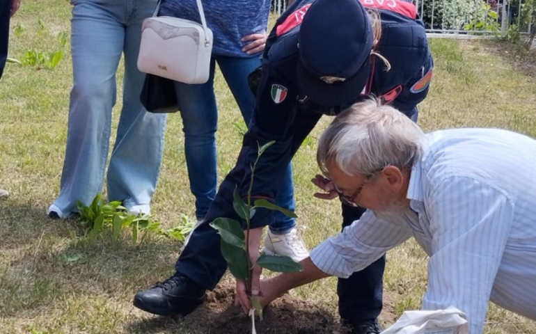 Roma, una magnolia in ricordo di Giovanni Falcone