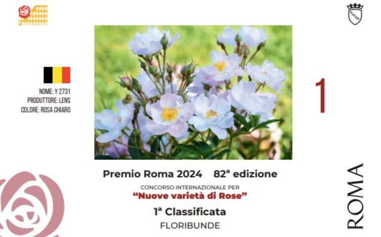 Premio Roma 2024, riconoscimenti per le rose di Germania, Francia e Belgio