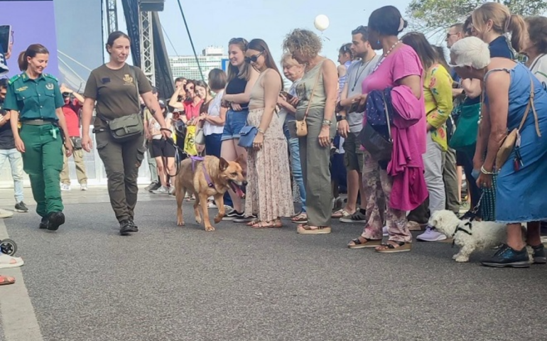 Roma, sfilata cani dei canili diventa evento mensile
