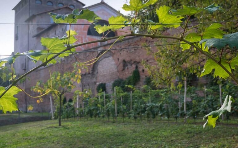 Roma: dal verde urbano ai vigneti cittadini, il nuovo piano del Campidoglio