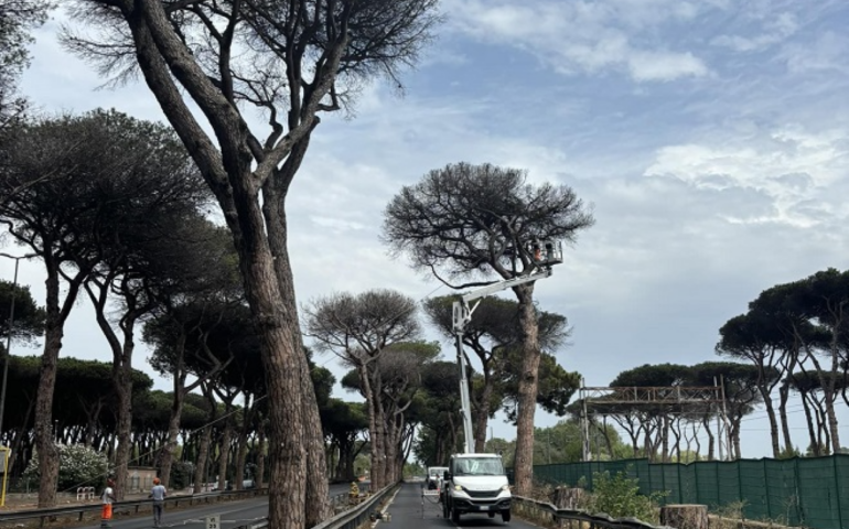 Controlli sui pini, riapre via Ostiense