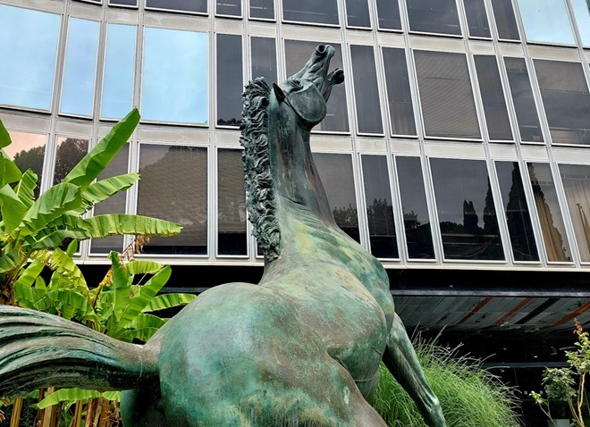 Il cavallo della Rai