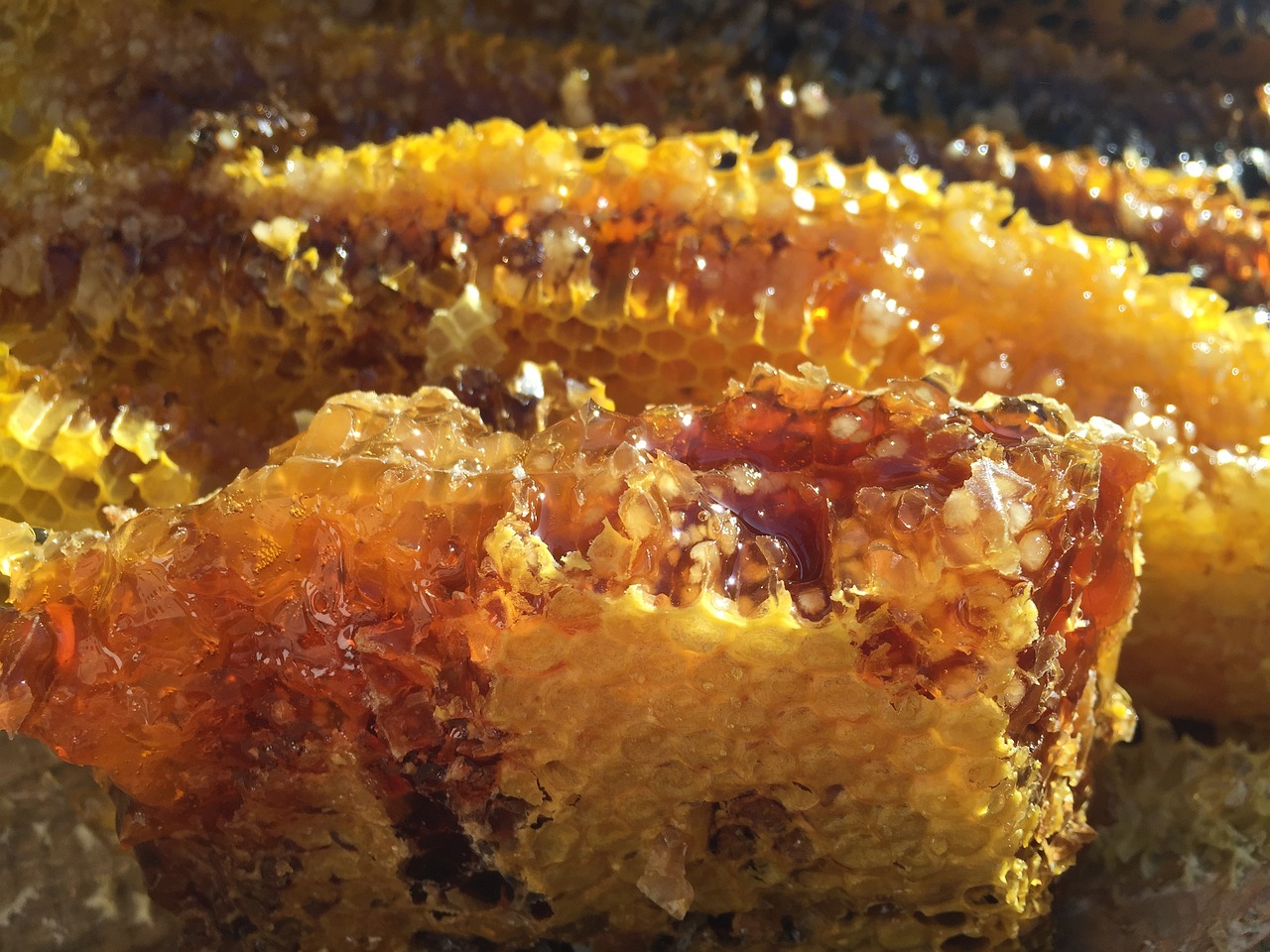Gli altri dolci romani
