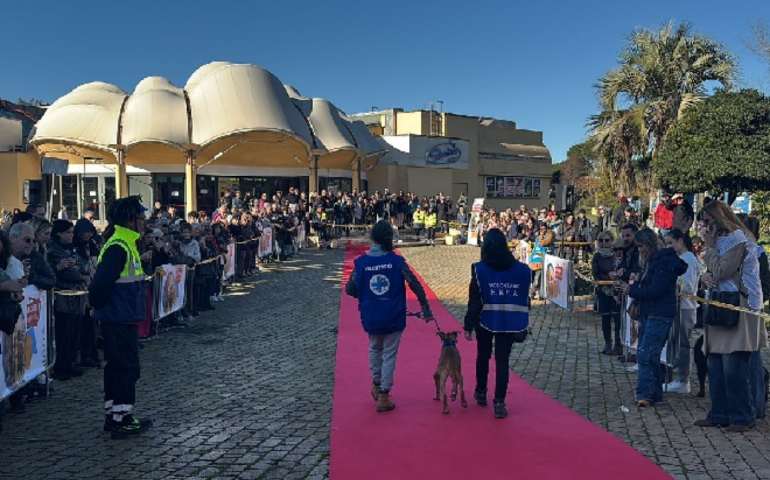 Il canile va in città