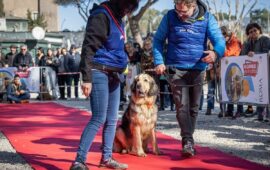 Il canile va in città: adozioni a San Valentino