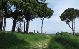 Il parco