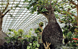 Orto botanico