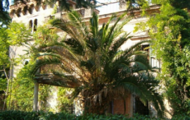 Villa Flora