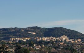 Frascati