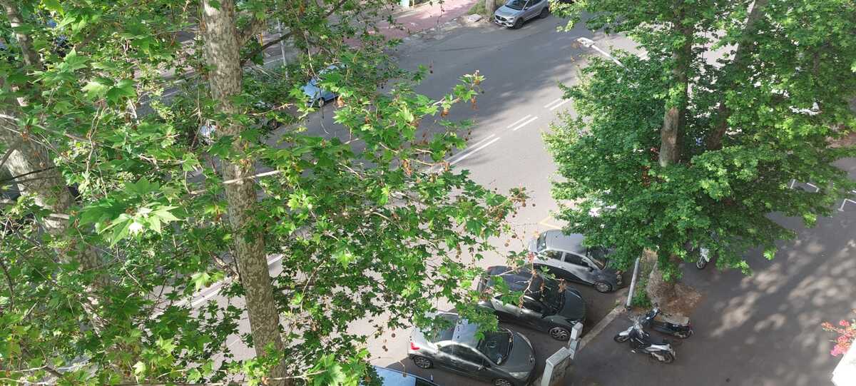 Lungotevere