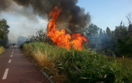 Prevenzione incendi e ondate di calore a Roma, firmata l’ordinanza