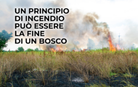 Incendi a Roma, come difendersi: obblighi, divieti e buone pratiche per la prevenzione
