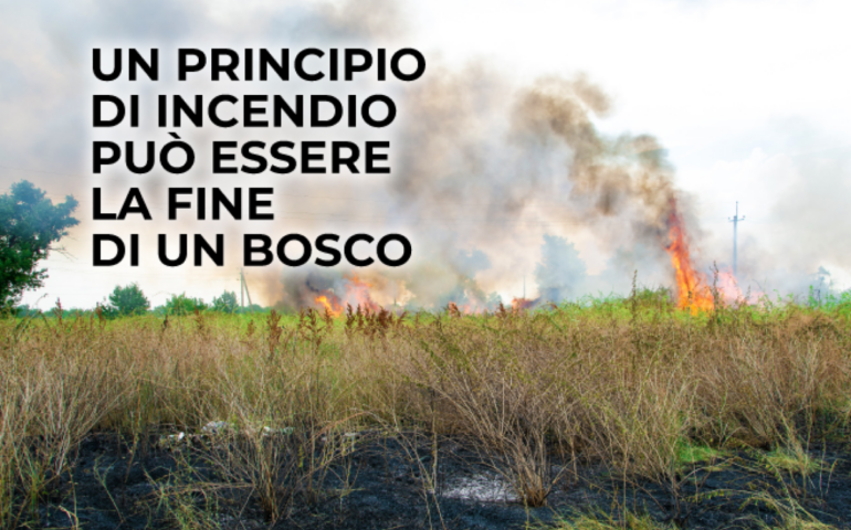 Campagna antincendi a Roma