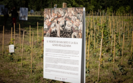 Il vigneto di San Sisto