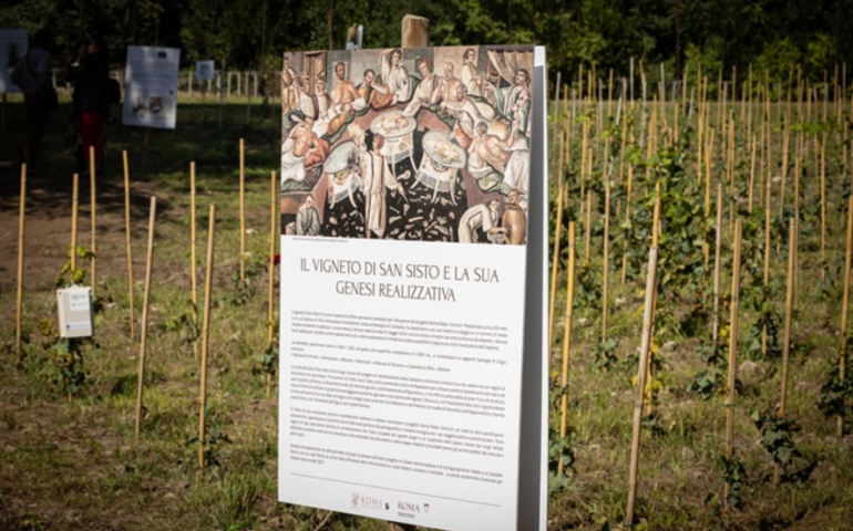 Il vigneto di San Sisto