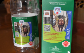 Adozione animali a Roma