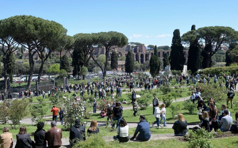 Il roseto di Roma