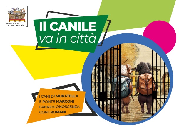 Il canile va in città
