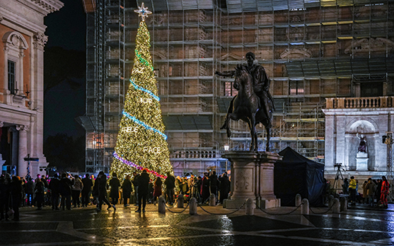 L'albero del Campidoglio