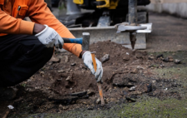 Roma investe sul verde pubblico con il piano di riqualificazione arborea per via Mattia Battistini