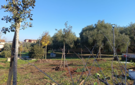 Roma nasce il nuovo polmone verde di via Federico Alessandrini