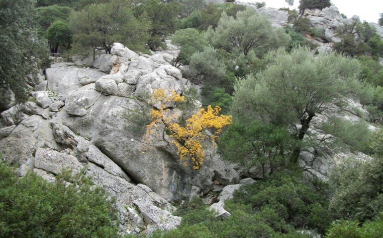 Cunferèntzia in Foghesu a pitzu de sa gruta Tueri