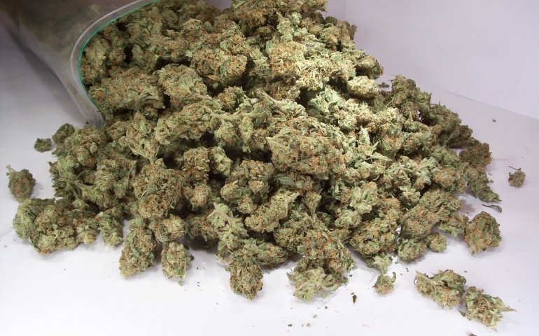 Marijuana: arrestada una còpia de bariesos pro possessu de droga