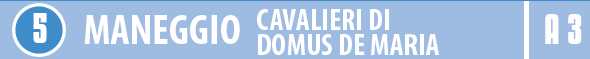 Maneggio Cavalieri