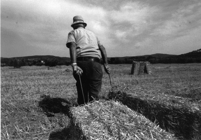 Leggende ogliastrine. Il marito lumacone