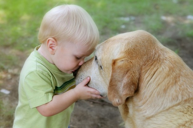 La Veterinaria risponde. Quali razze di cane sono più adatte ai bambini?