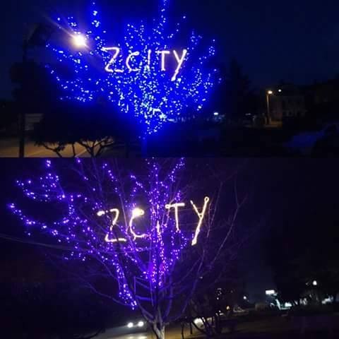 Vandali danneggiano l’albero di Natale di Zinnias. Sdegno e denunce sui social