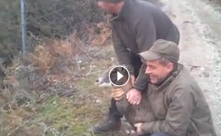 Cacciatori ogliastrini liberano un piccolo muflone dal filo spinato. Il video diventa virale: “Questi i veri cacciatori”