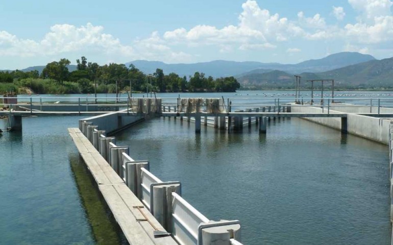 Arbatax. E’ Carmine De Martino il nuovo Presidente della Cooperativa Pescatori