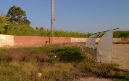 campo sportivo zinnias