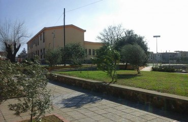 scuola girasole