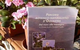 carmine scudu botanica