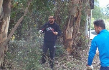 Gli abitanti a lavoro nel bosco di eucaliptus