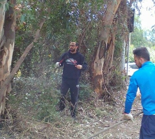 Gli abitanti a lavoro nel bosco di eucaliptus