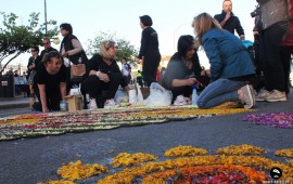 Tortolì in Fiore ( foto di F.Gillone)