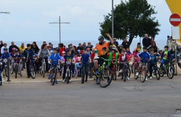 Bimbimbici 2016